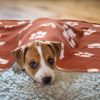 10 Pieces Pet Blankets with Paw Print Dog Cat Fleece Blankets Soft Warm Sleep Mat Pad Bed Cover for Kitten Puppy and Other Small Animals, 24 x 28 Inch
